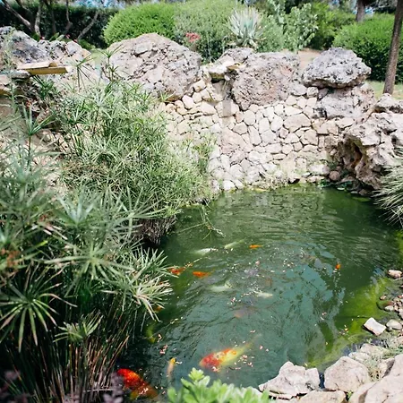 Madera By Corfuescapes * Kompitsion